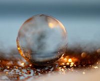 Sunset caught in a drop of water