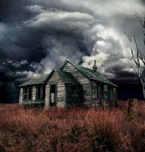 Juste avant l'orage