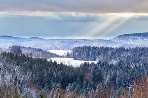 Winter im Bayrischen Wald