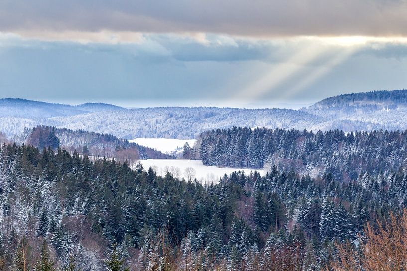 Winter in het Beierse Woud van Dirk Rüter