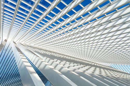 Station Guillemins Luik