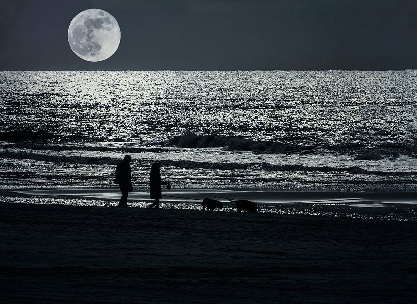 Bei Vollmond am Meer von Anouschka Hendriks