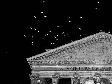 The Birds around the Pantheon by Martijn Jebbink Photography