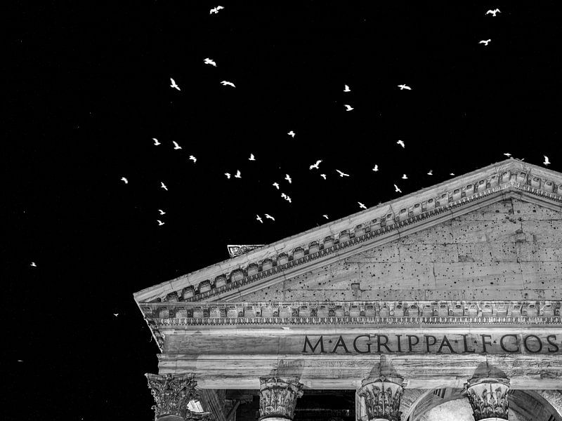 The Birds around the Pantheon by Martijn Jebbink Photography
