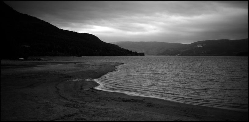 Strand in Noorwegen van Rob van Dam