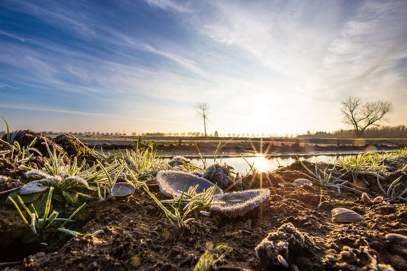Frost on the land by Ab Donker