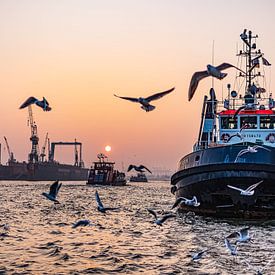 2015-02-16 Tugboat at sunset by Joachim Fischer