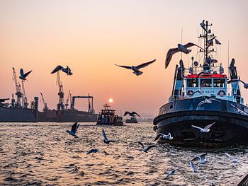 2015-02-16 Schlepper im Sonnenuntergang