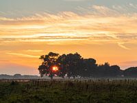 Sunset in the Betuwe