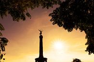 Siegessäule Berlin im Sonnenuntergang von Frank Herrmann Miniaturansicht