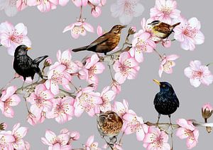 Oiseaux sur les branches fleuries
