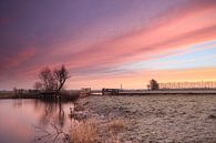 Zonsopkomst in polder de Nes von Frans Batenburg Miniaturansicht