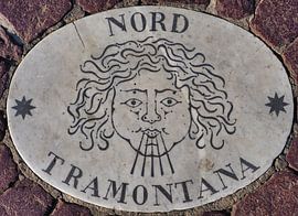 Noord, 1 van vier windstreken van het St Pietersplein (1/4) van Atelier Liesjes