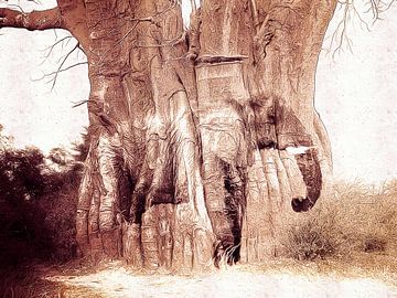 The Baobab tree and the elephant van Nannie van der Wal