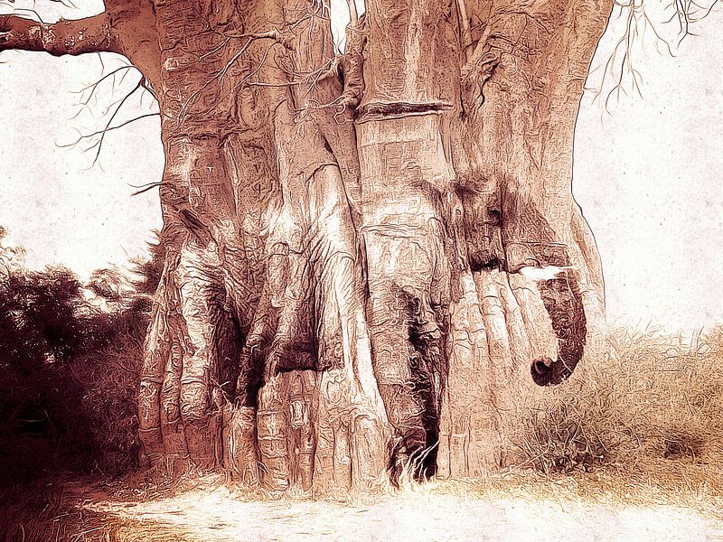 The Baobab tree and the elephant van Studio Mirabelle