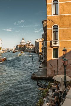 Venice by @themissmarple