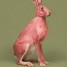 Rosa Wildhase gegen ruhigen grünen Hintergrund von But First Framing