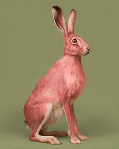 Rosa Wildhase gegen ruhigen grünen Hintergrund