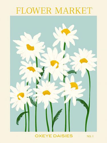 Flower Market - Oxeye Daisies