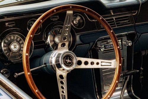 Mustang