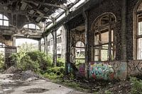 graffiti in een overwoekerd gebouw
