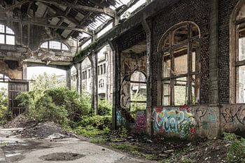 graffiti in an overgrown building