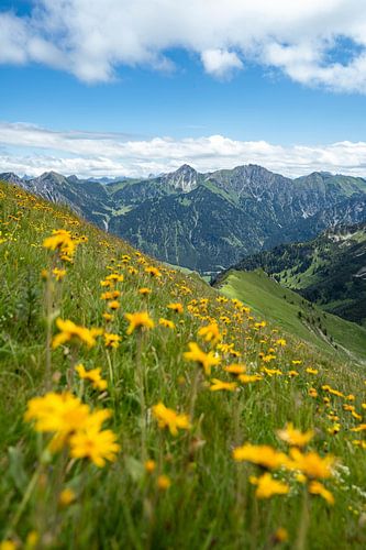 Bloemrijk uitzicht op Hinterstein en de Allgäuer Alpen