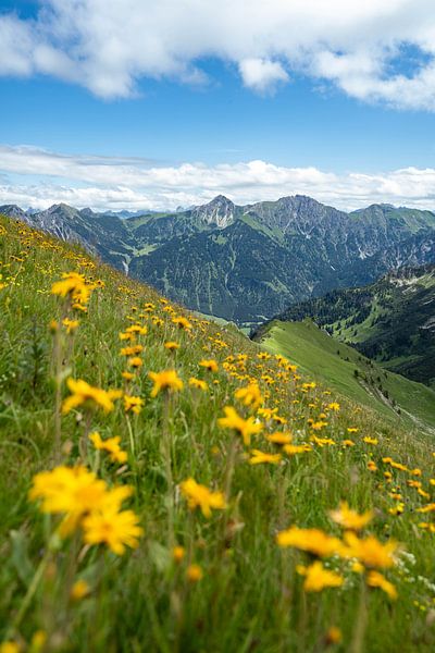 Flowery view of Hinterstein and the Allgäu Alps by Leo Schindzielorz