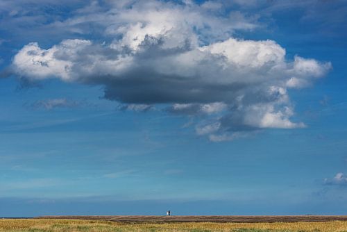 Wandelen op de pier van PaesensModdergat in Friesland