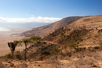 De rand van de Ngorongorokrater in het noorden van Tanzania.