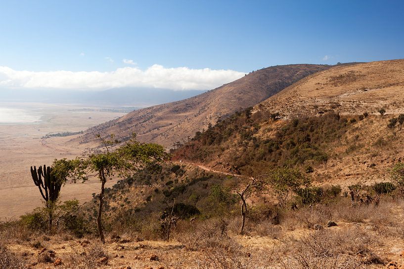 De rand van de Ngorongorokrater in het noorden van Tanzania. par Alida Stuut
