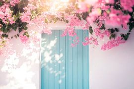 Blooming door by Poster Art Shop