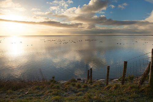 Markermeer