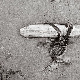 Holz und Unkraut am Strand von Moeraki Boulders von Helene van Rijn