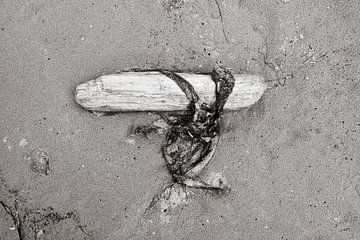 Hout en wier op het strand bij Moeraki Boulders van Helene van Rijn