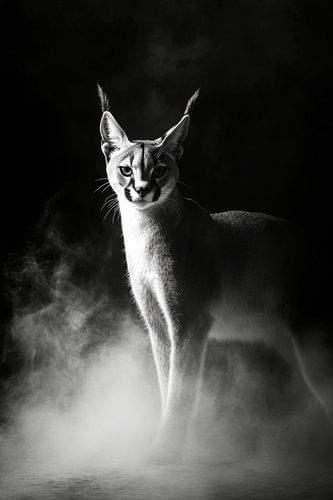 Luchs