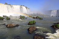 Iguazu-Fälle von Antwan Janssen Miniaturansicht