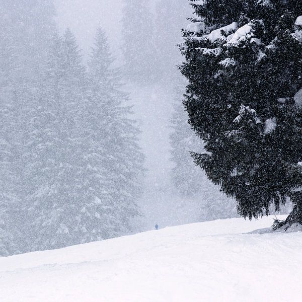 Winter landscape by Thomas Heitz