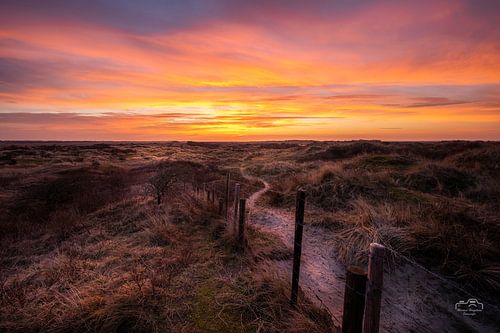 Zonsopkomst in de duinen van Ameland