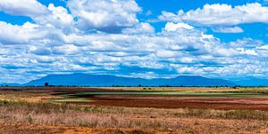 Tsavo East vlakte