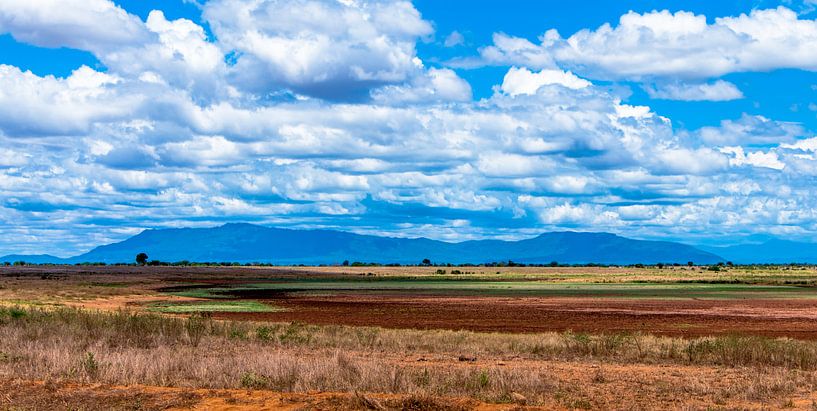 Tsavo East vlakte van Alex Hiemstra