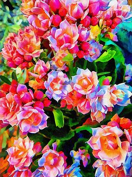 Kalanchoe Flaming Katy by Dorothy Berry-Lound