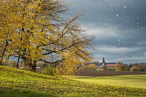 Herbstblätter Regen