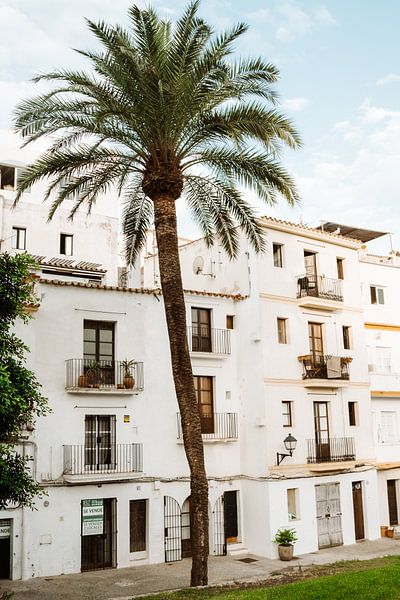 Ibiza | Palmier et architecture espagnole par Amber Francis