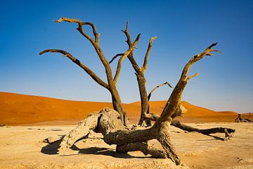 Sossusvlei zandduinen in de woestijn van Namibië van Henk Derks