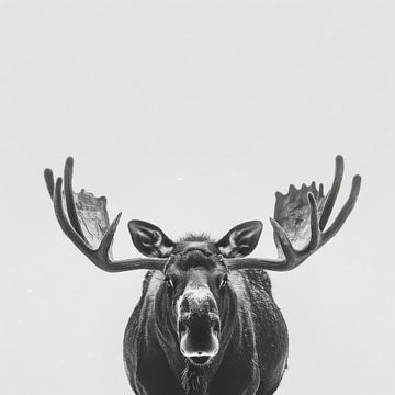 Eland van Poster Art Shop