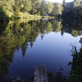Basaltsee in der Rhön im Sommer von Martin Flechsig