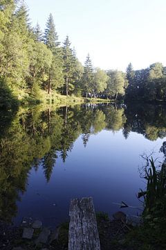 Basaltsee in der Rhön im Sommer