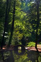 A pond with waterfall in the forest near the heavenly mountain.