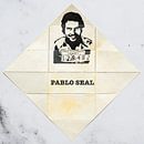 Gnome post Pablo Seal on marble by Floris Kok thumbnail